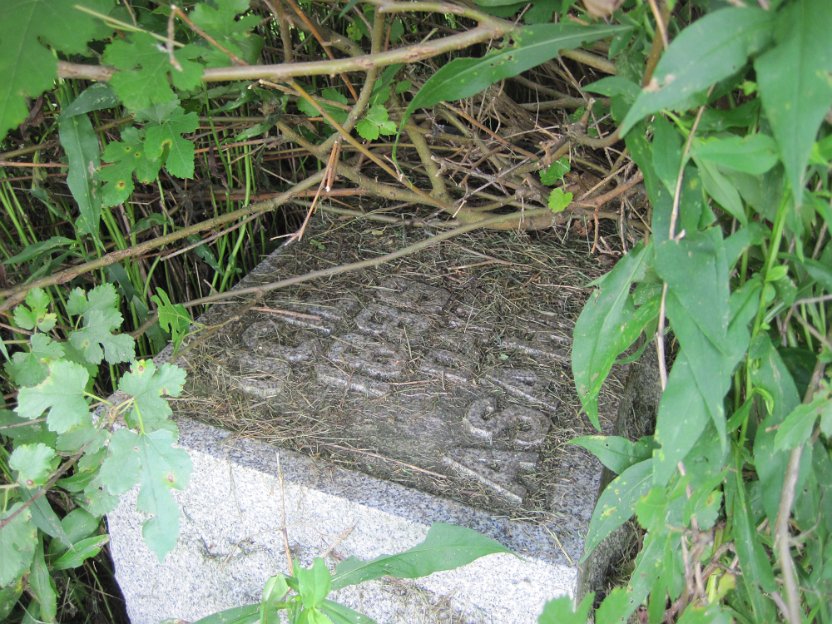 047-Hank's mother.jpg